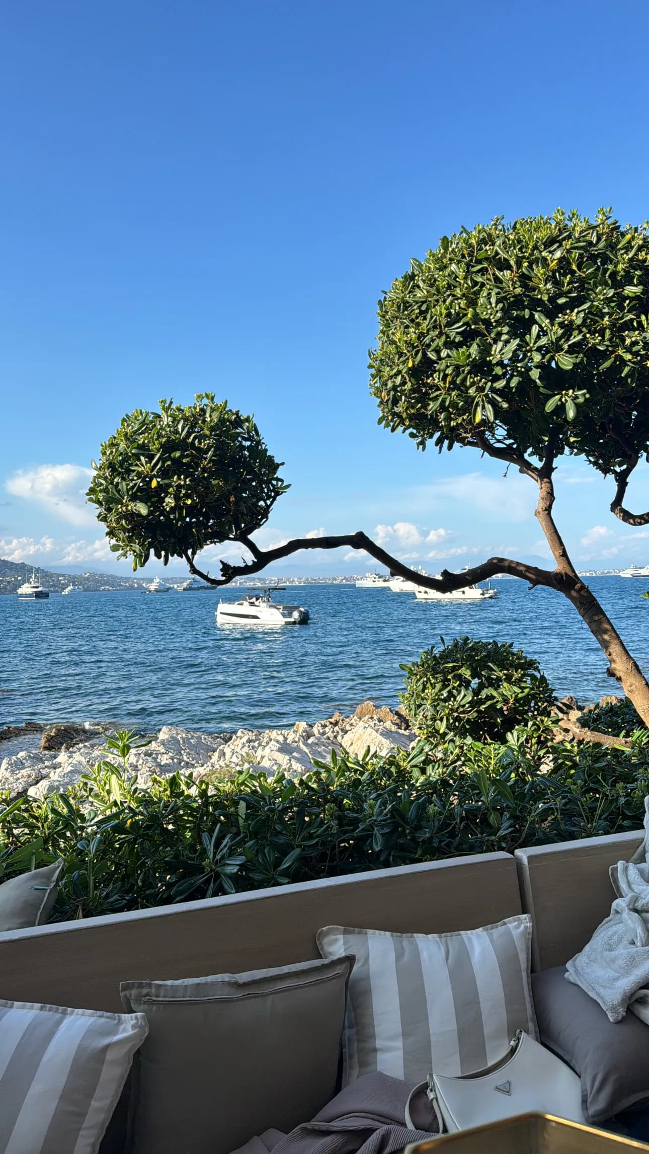 Max at La Guerite Cannes